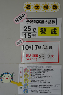 DSC08081