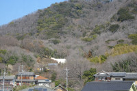 DSC09770