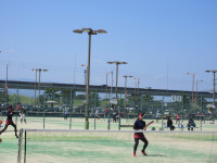 IMG_2014
