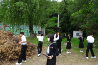 DSC06212