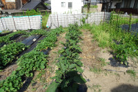 DSC07108