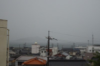 DSC07381
