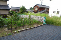 DSC07930