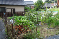 DSC07931