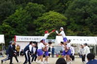 DSC08181